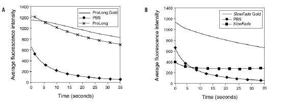 Figure 2. ProLong? Gold (图 A) and SlowFade? Gold (图 B) 抗淬灭剂有效防止光漂白用不同的抗淬灭剂将 FITC 标记的微球封片，100 瓦贡弧灯照射 30 秒，40x/1.3 NA 油镜观察，12-bit 单色 CCD 成像。取20 个微球的平均荧光强度作图。