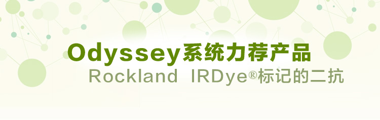 Odyssey力荐产品IRDye二抗