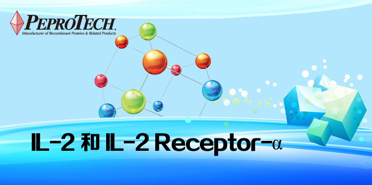 IL-2 和 IL-2 Receptor-α