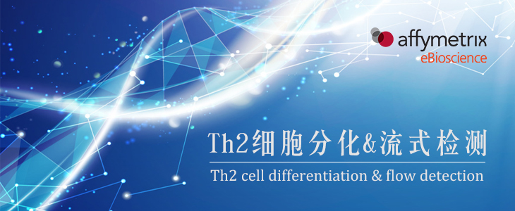 T细胞活化与极化检测系列:Th2细胞分化与流式检测