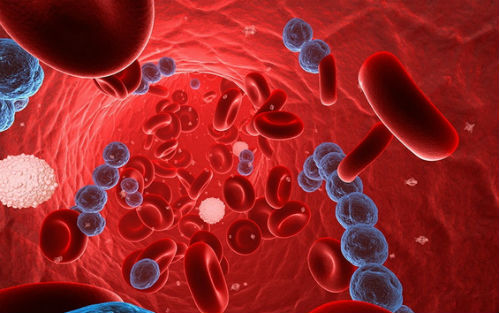 红细胞生成素受体ELISA检测试剂盒