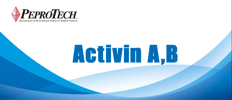 PeproTech产品推荐：Activin A & Activin B