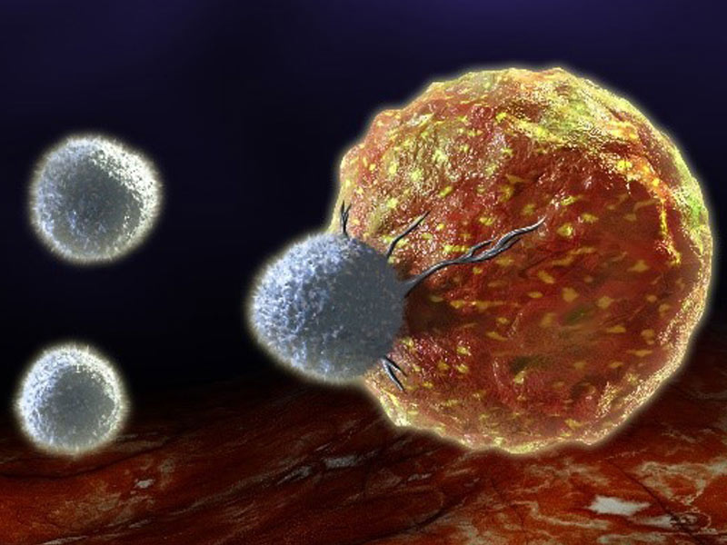 Read more about the article 感染新冠病毒后，我们的免疫细胞会有哪些反应？