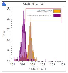 Anti-Human CD86, FITC (Clone: IT2.2) 检测试剂 - 结果示例图片