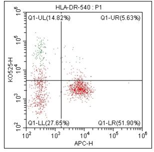 Anti-Human HLA-DR, mFluor 540 (Clone: LN3) 检测试剂 - 结果示例图片