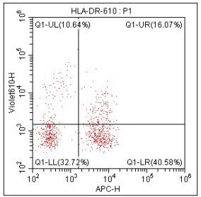 Anti-Human HLA-DR, mFluor 610 (Clone: LN3) 检测试剂 - 结果示例图片
