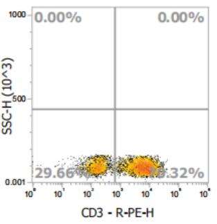 Anti-Human CD3, PE (Clone:OKT3)流式抗体 - 结果示例图片