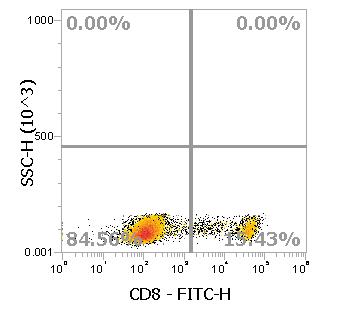 Anti-Human CD8α, FITC (Clone: SK1) - 结果示例图片