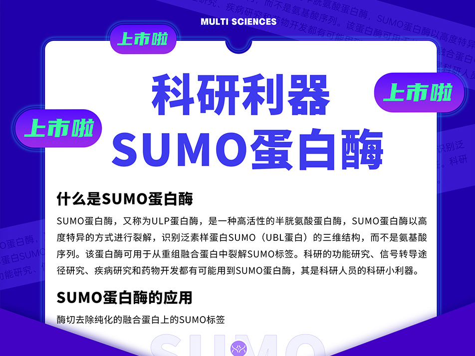 Read more about the article 科研利器SUMO蛋白酶上市啦！