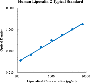 Human Lipocalin-2/NGAL Standard (人脂质运载蛋白2 标准品)