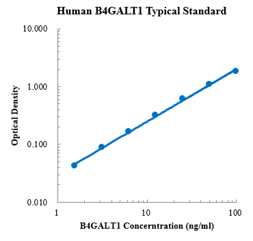 Human B4GALT1/GGTB2 Standard (人β-1, 4-半乳糖基转移酶1 (B4GALT1) 标准品)
