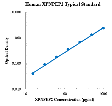 Human XPNPEP2 Standard (人膜结合的X-脯氨酰氨肽酶2 标准品)