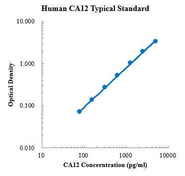Human Carbonic Anhydrase XII/CA12 Standard (人碳酸酐酶 标准品)
