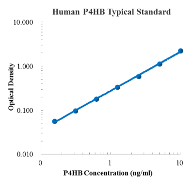 Human P4HB Standard (人脯氨酸4-羟化酶β亚基 (P4HB) 标准品)