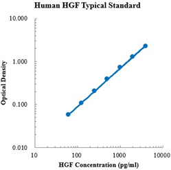 Human HGF Standard (人肝细胞生长因子 标准品)