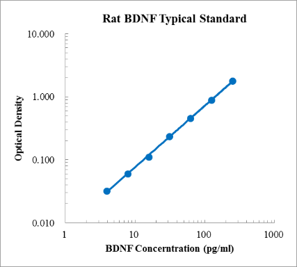 Rat BDNF Standard (大鼠脑源性神经营养因子 (BDNF) 标准品)