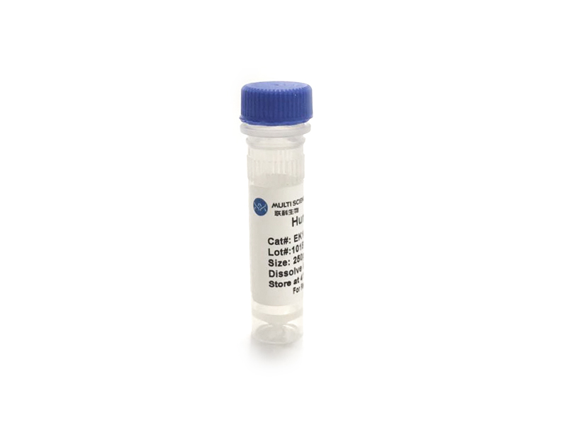 Human Thrombopoietin/TPO Standard (人促血小板生成素 (TPO) 标准品)