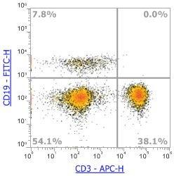 Anti-Human CD3, APC (Clone:OKT3)流式抗体 - 结果示例图片