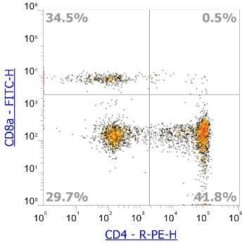 Anti-Human CD8α, FITC(Clone OKT8) - 结果示例图片