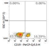 Anti-Human CD19, PerCP-Cy5.5 (Clone:SJ25C1) 流式抗体 检测试剂  - 结果示例图片