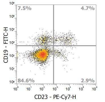 Anti-Human CD23, PE-Cyanine7 (Clone:EBVCS2) - 结果示例图片