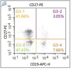 Anti-Human CD27, PE (Clone: 09) 流式抗体 检测试剂