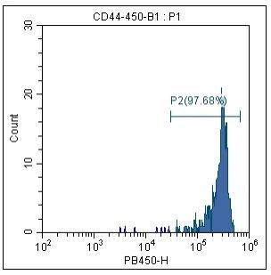 Anti-Human/Mouse CD44, PE-Cy7 (Clone: IM7) 流式抗体 检测试剂 - 结果示例图片