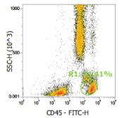 Anti-Human CD45, FITC (Clone: 2D1) 流式抗体 - 结果示例图片