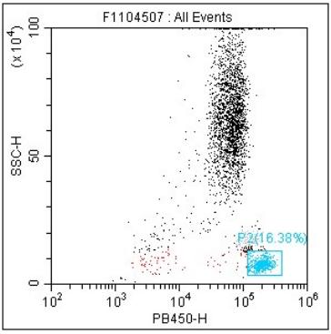 Anti-Human CD45, mFluor 450 (Clone:2D1) 流式抗体 检测试剂 - 结果示例图片