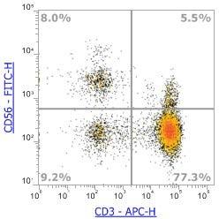 Anti-Human CD56 (NCAM), FITC (Clone:MY31) 流式抗体 - 结果示例图片