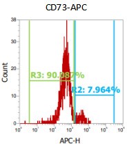Anti-Human CD73, APC （Clone: 07）流式抗体 检测试剂 - 结果示例图片