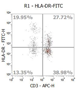 Anti-Human HLA-DR, FITC (Clone: LN3) 流式抗体 检测试剂 - 结果示例图片