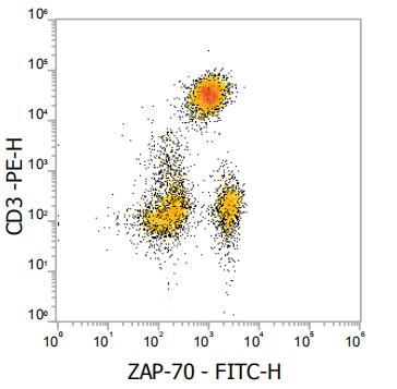 Anti-Human ZAP-70, FITC (Clone:1E7.2) - 结果示例图片