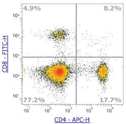 Anti-Mouse CD8α, FITC (Clone:53-6.7)流式抗体 - 结果示例图片