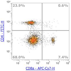 Anti-Mouse CD8α, APC-Cy7 (Clone:53-6.7)流式抗体 - 结果示例图片
