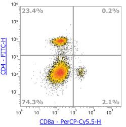 Anti-Mouse CD8α, PerCP-Cy5.5 (Clone:2.43) 流式抗体 - 结果示例图片