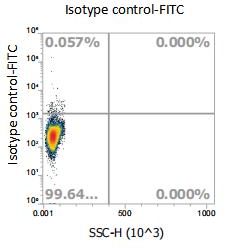 Anti-Mouse CD34, FITC （Clone: 013）流式抗体 - 结果示例图片