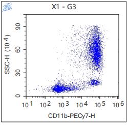 Anti-Human/Mouse CD11b, PE-Cy7 (Clone: M1/70) 流式抗体 检测试剂 - 结果示例图片