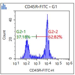 Anti-Human/Mouse CD45R, FITC (Clone: RA3-6B2) 流式抗体 检测试剂 - 结果示例图片