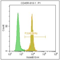 Anti-Human/Mouse CD45R, mFluor 610 (Clone: RA3-6B2) 流式抗体 检测试剂 - 结果示例图片