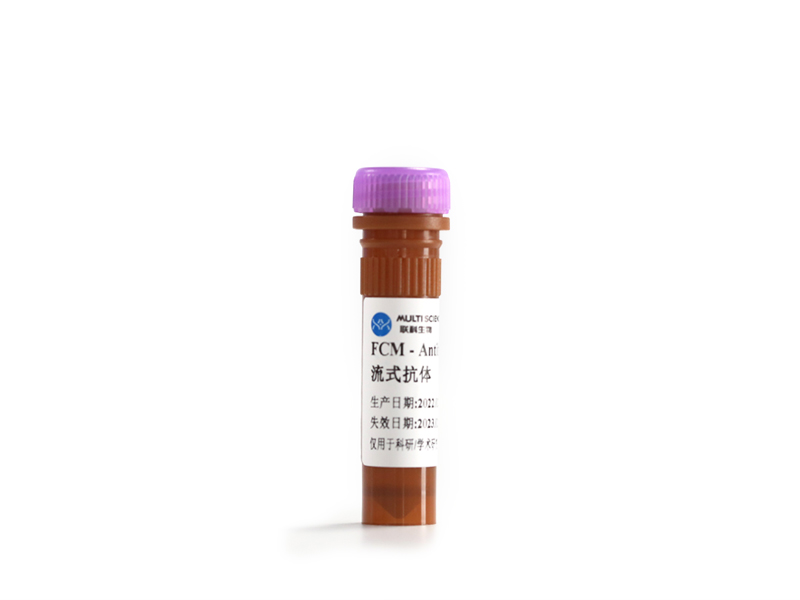 Anti-Human CD123, PE-Cy7（Clone: S18016F）检测试剂
