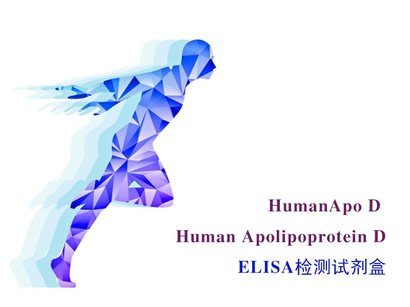 Read more about the article 联科生物：Hhuman Apo D  ELISA  检测试剂盒