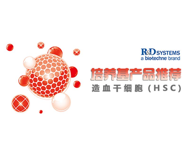 Read more about the article R&D造血干细胞（HSC）培养基产品推荐