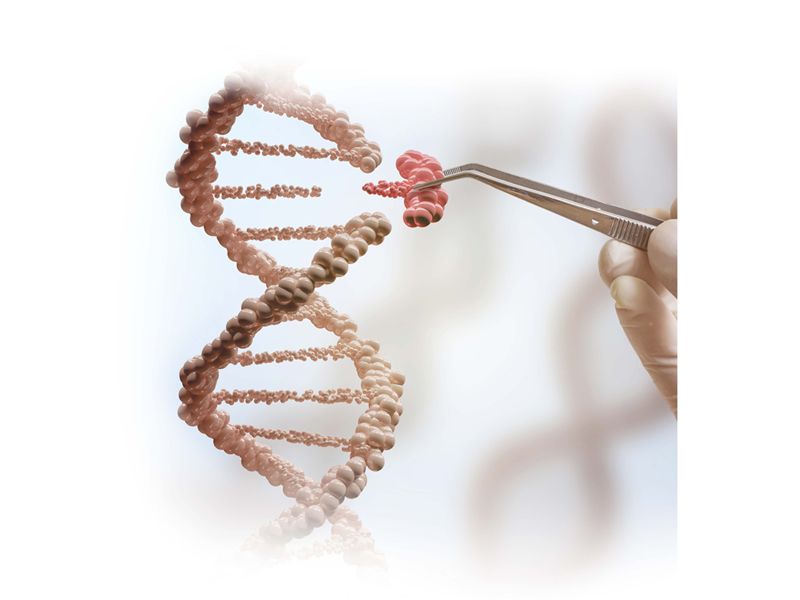 Read more about the article 小分子 —提高CRISPR基因编辑效率的关键