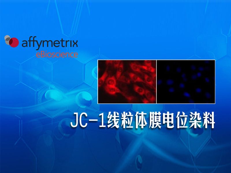 Read more about the article JC-1线粒体膜电位染料