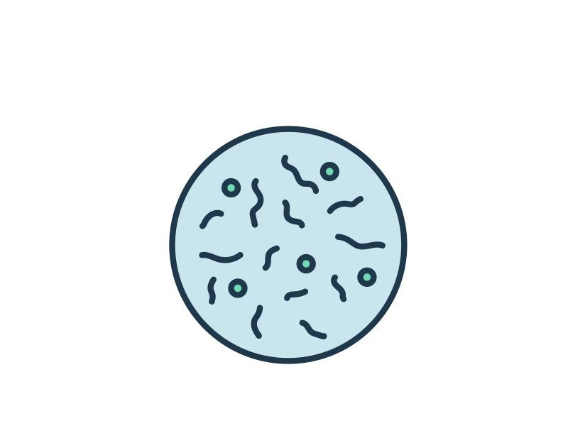 Read more about the article 细胞检测系列：细胞凋亡、细胞毒性和细胞增殖