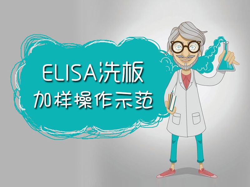 Read more about the article 蓝瘦香菇？ELISA洗板+加样操作示范来拯救你！